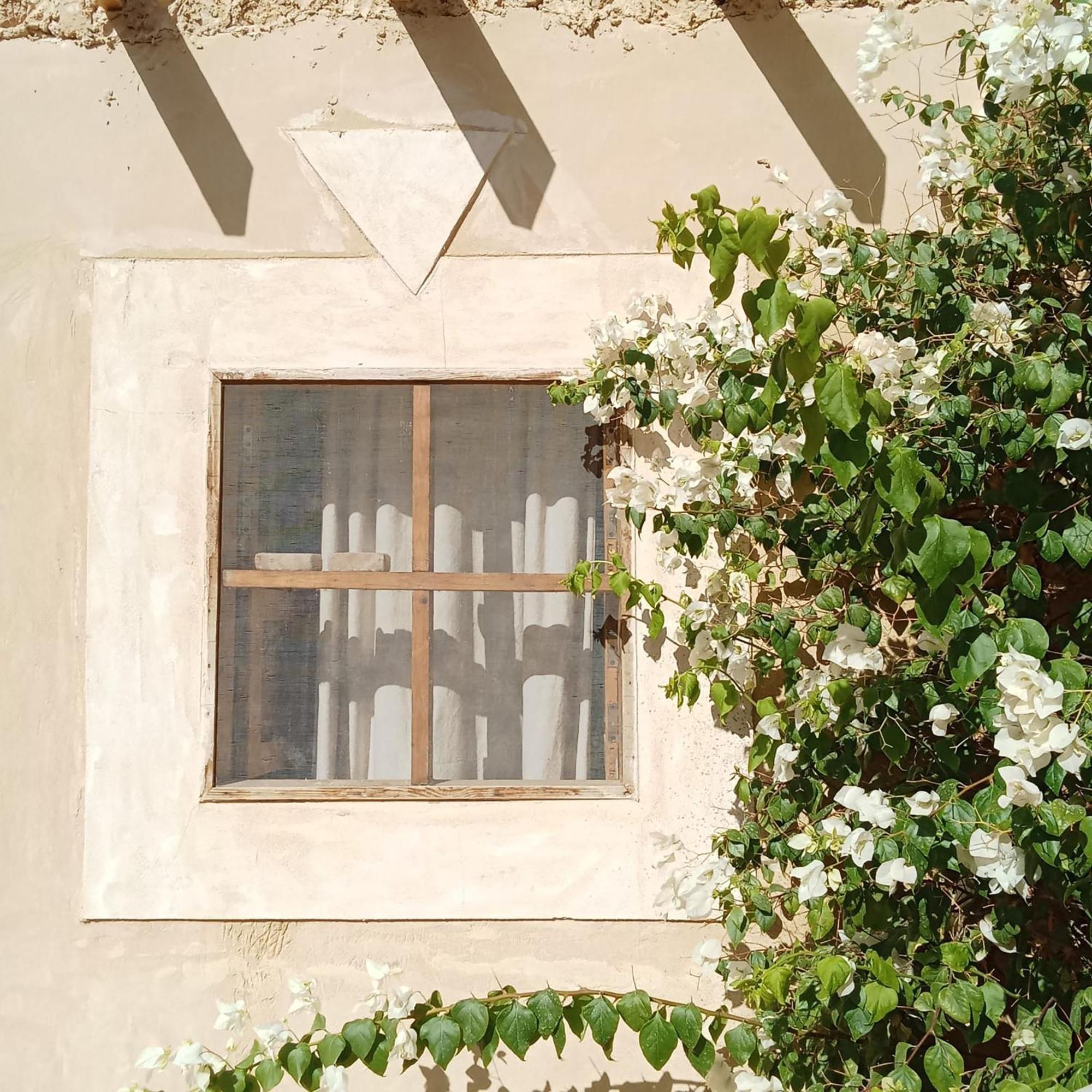 Tanirt Ecolodge Siwa Oasis المظهر الخارجي الصورة