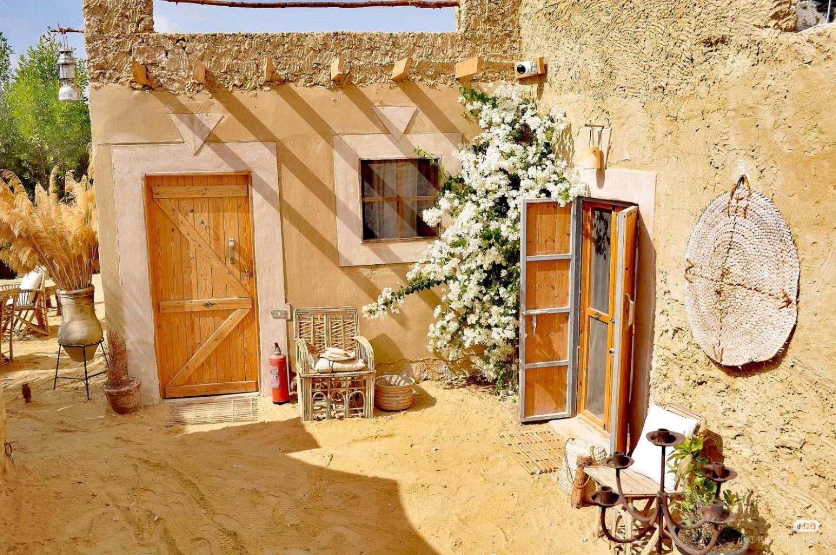 Tanirt Ecolodge Siwa Oasis المظهر الخارجي الصورة